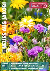 Titelbild Gemeindebrief Sommer 2019, bunte Blumenwiese mit Biene auf Blüte